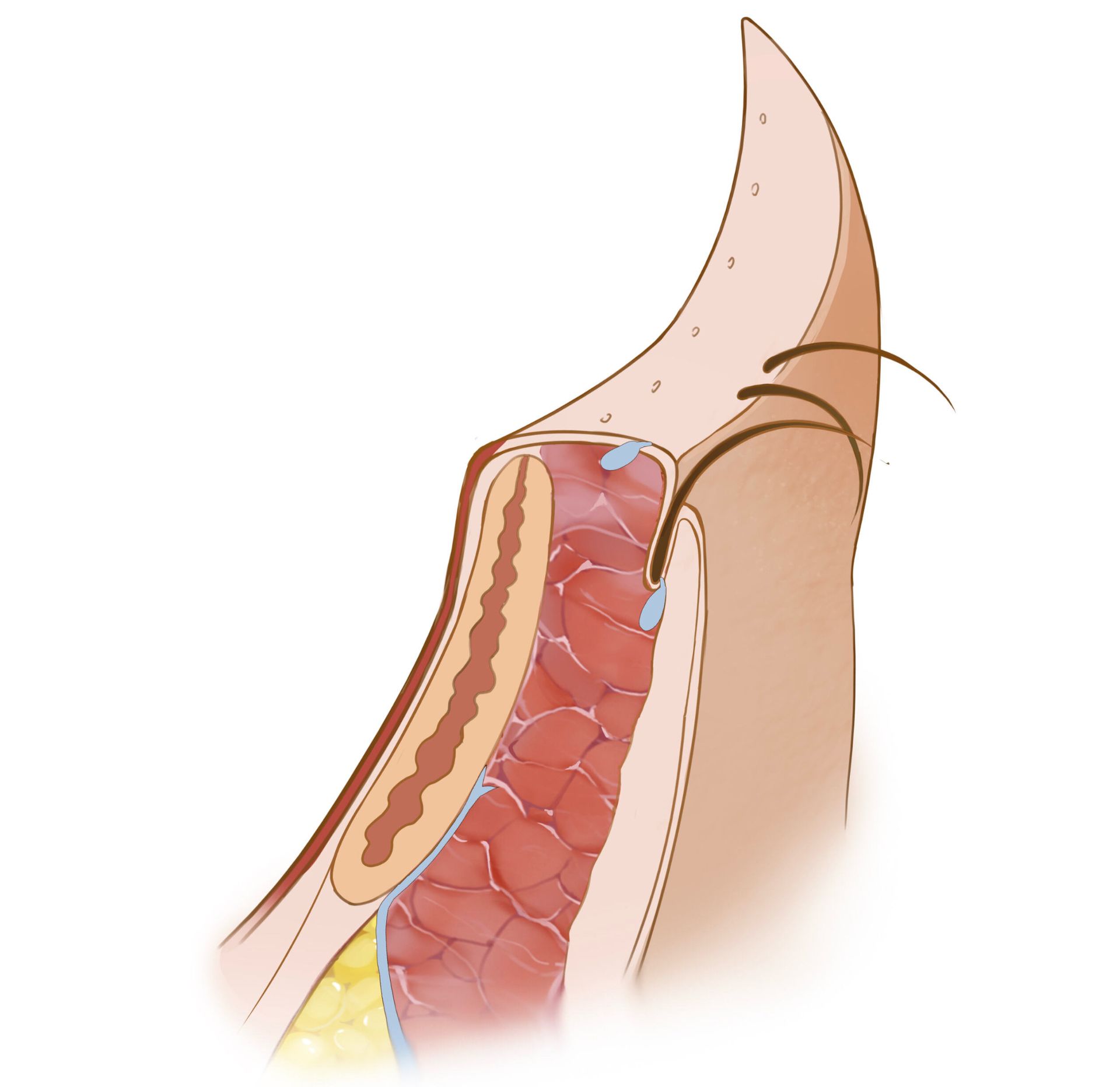 Clinic branded materials