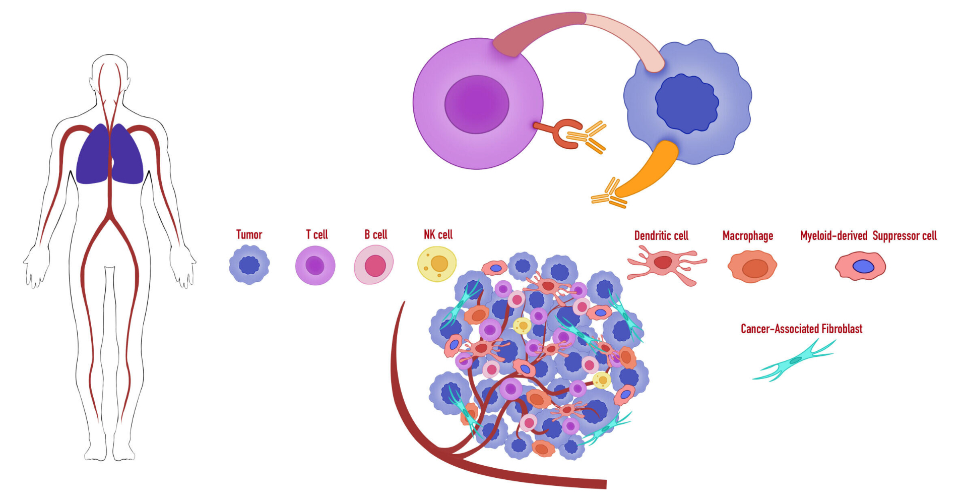 Patient education illustration